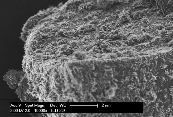 Nanophotonics
