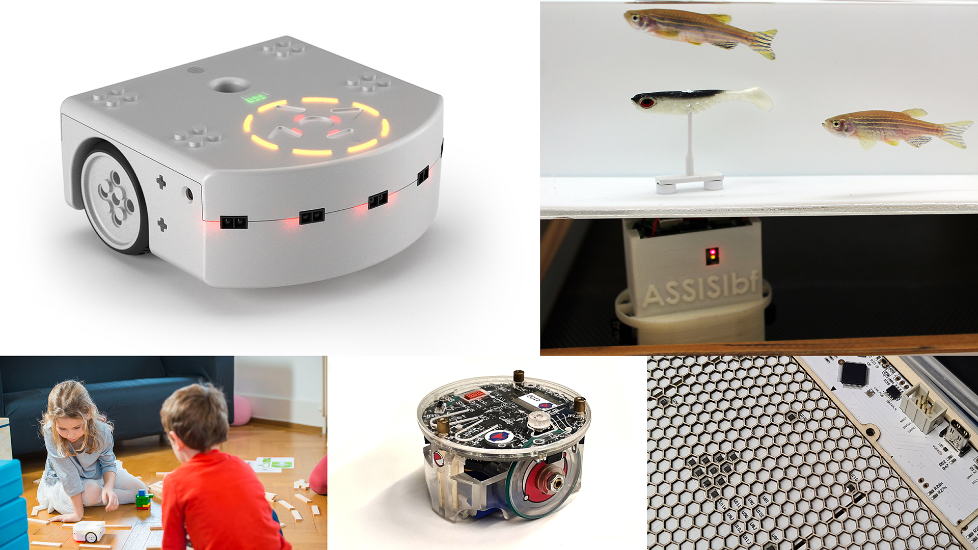 Robot de jole gaspr