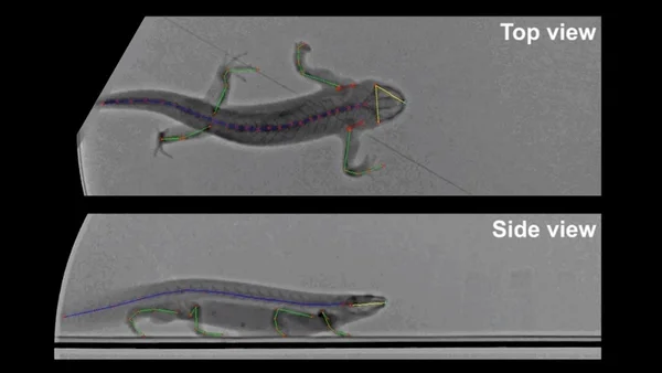 Bio-Inspired Technology