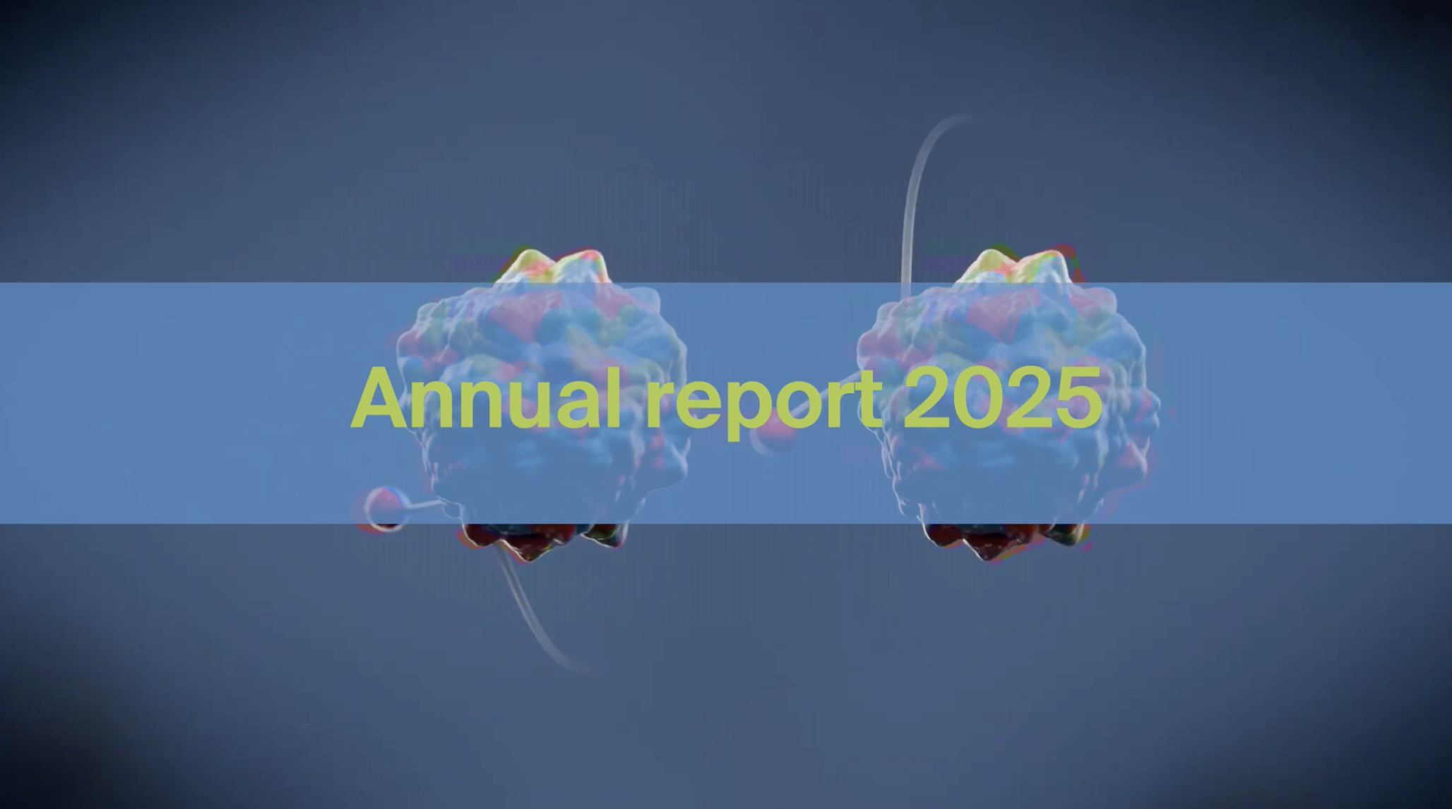Annual Report 2025